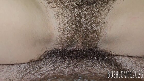 big pussy lips hairypornhubpussy beauty tits bbc gangbang