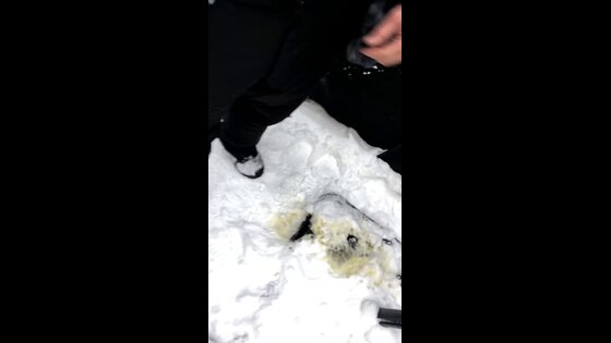 piss stream peeing outdoor